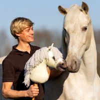 Nalanta Hobby horse