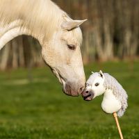 Nalanta Hobby horse