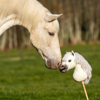 Nalanta Hobby horse