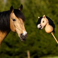 Nalanta Hobby horse