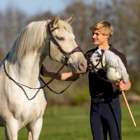 Nalanta bitless bridle Hobby horse