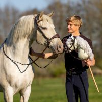 Nalanta Bitless bridle Hobby horse