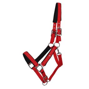 Head collar Oakleigh Sunset red Pony
