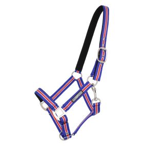Head collar Icelandic Cobalt blue Cob