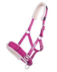 Cavesson Fuchsia Full