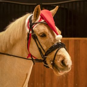 Christmas hat horse Red Full
