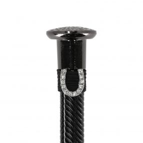 Whip jewel Horseshoe