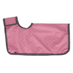Exercise rug Hobby horse collection Cheery pink