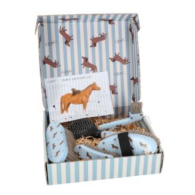 Grooming set Stable buddy Dachshund