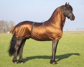 Eczema rug Big neck Brons 235