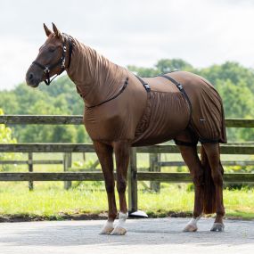 Eczema rug Brown 225