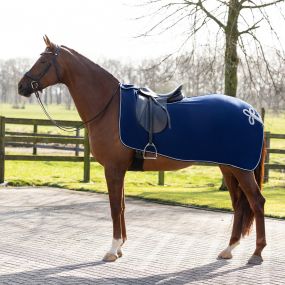 Exercise rug fleece ornament Blue/silver XL