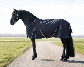 Turnout rug Big neck 300gr Black 225