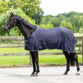 Summer rug basic Blue 215