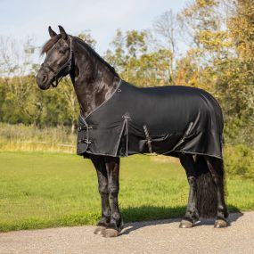 Turnout rug Big neck 0gr Black 225