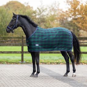 Wool rug check Navy/green 215