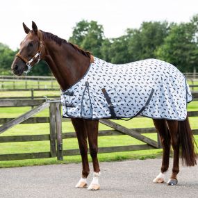 Fly sheet Stable buddy Dachshund 205