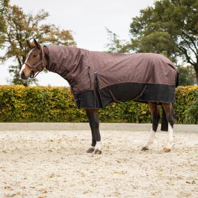 Turnout rug collection with neck 250gr Whispering Woods 205