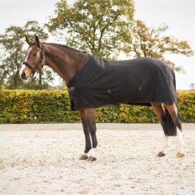 Show rug Avenna Black 215