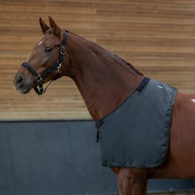 Chest protector soft Black XL