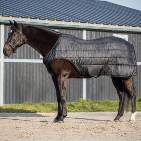 Walker rug Glitter 100gr Black 215