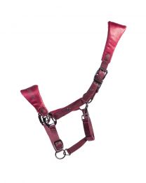 Head collar Gloss
