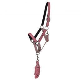 Head collar set with turnout collection