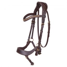 Bridle Devi