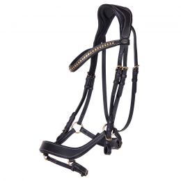 Bridle Devi