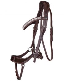 Bridle Eris