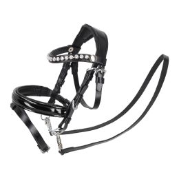 Bridle Sunset Hobby horse