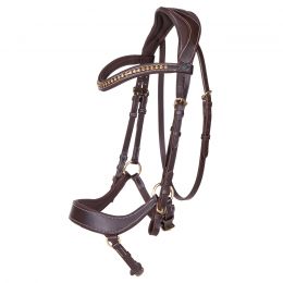 Bridle Devi