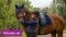 Saddle pad Orlando