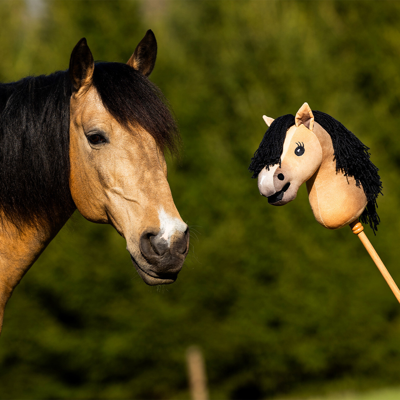 Nalanta Hobby horse