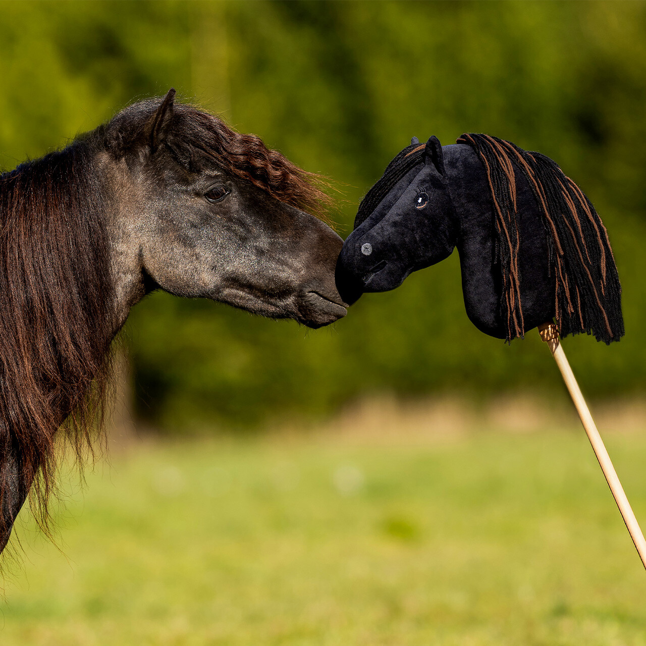 Nalanta Hobby horse