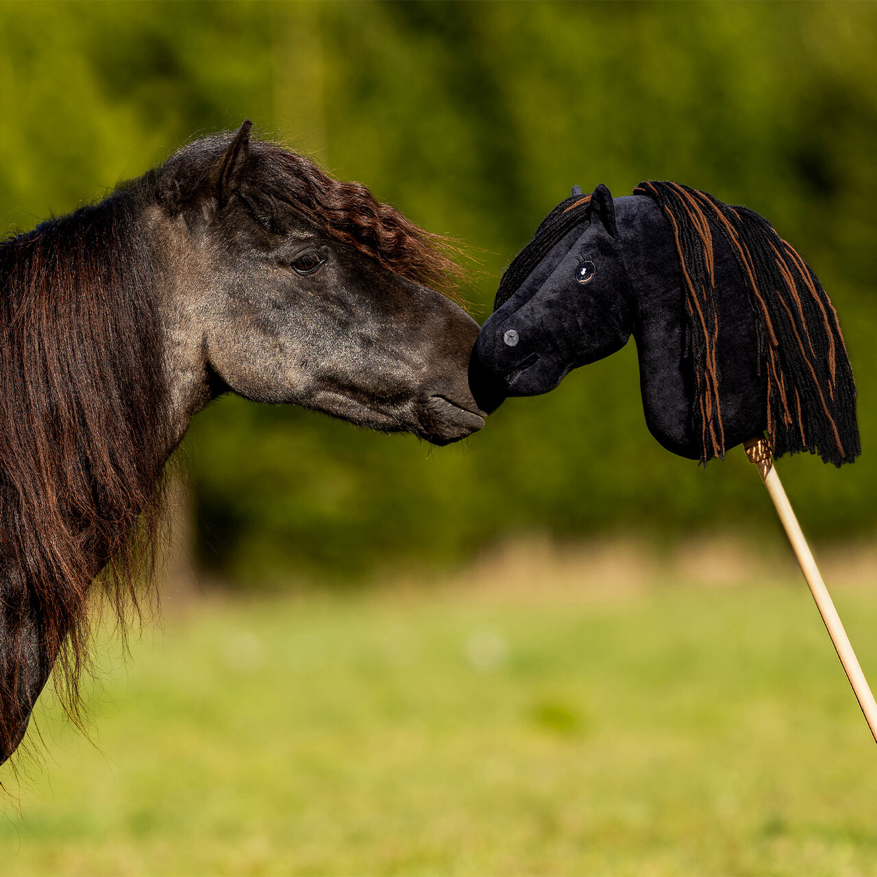 Nalanta Hobby horse