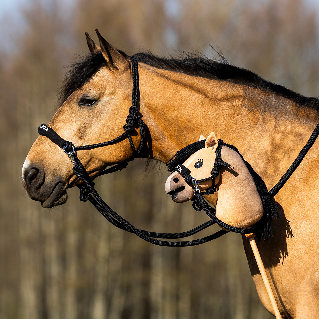 Nalanta Rope halter with rein hobby horse