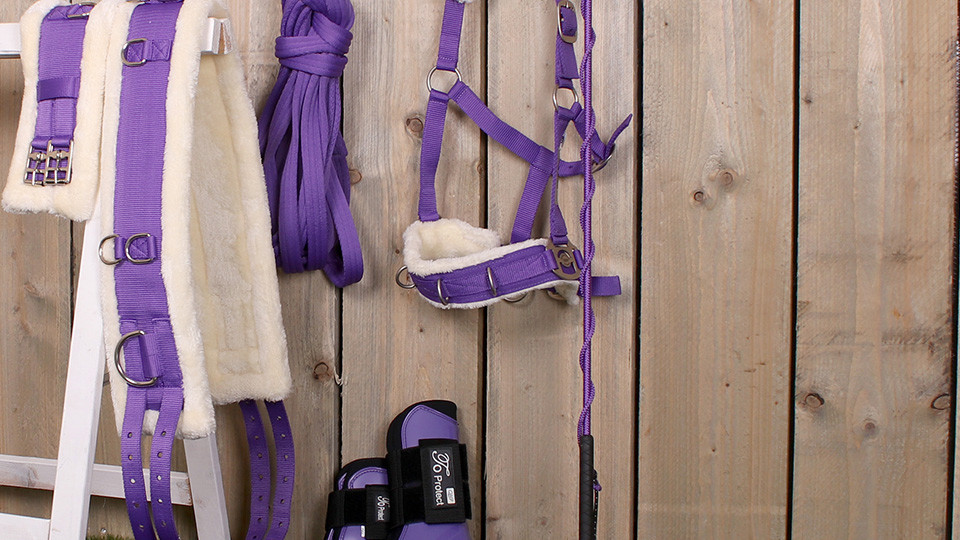 Lunging Whips Lunging Whips