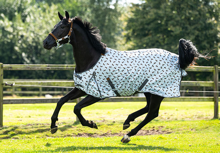 Lookbook Stable Buddy