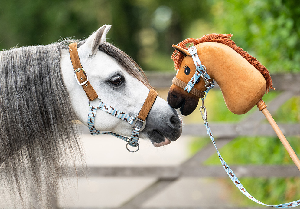 Lookbook Stable Buddy