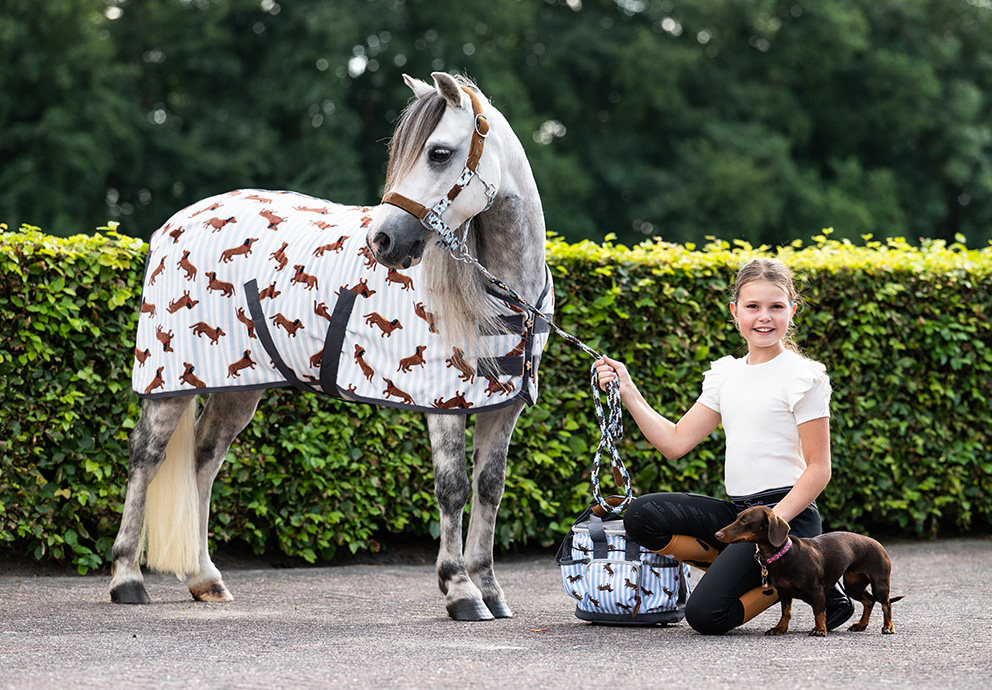 Lookbook Stable Buddy