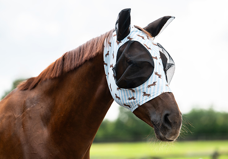 Lookbook Stable Buddy