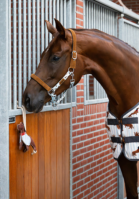 Lookbook Stable Buddy