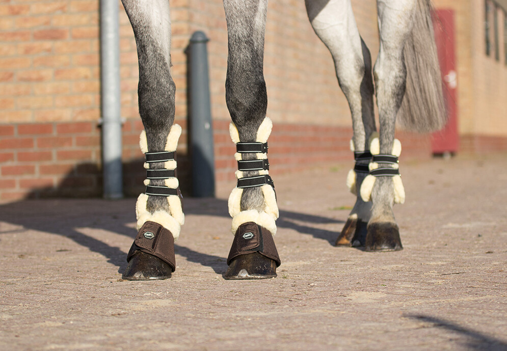 Ontario tendon and fetlock boots