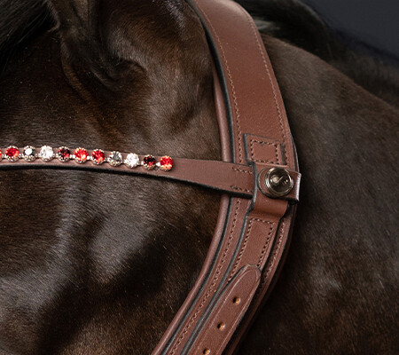 Browband system