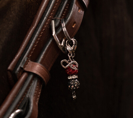 Bridle charm