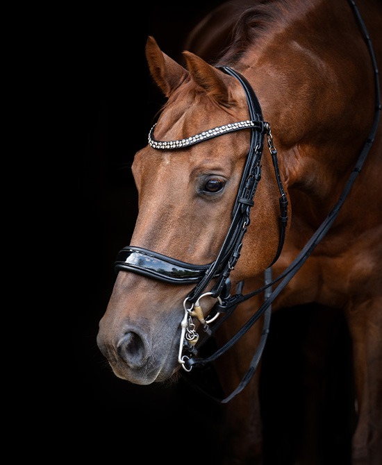 Weymouth bridle FayPerform Shine