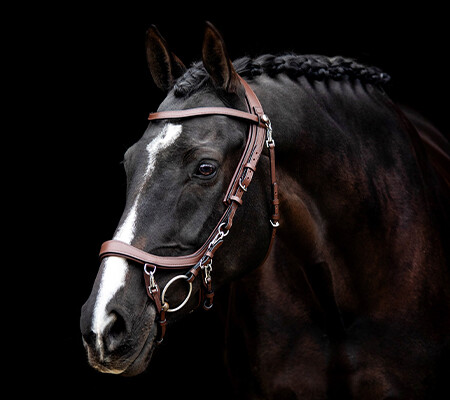 Faysport bridle