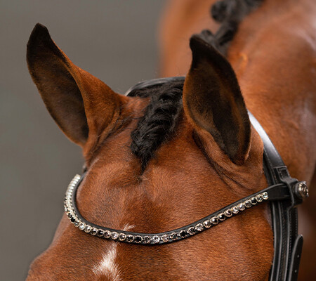 Browbands