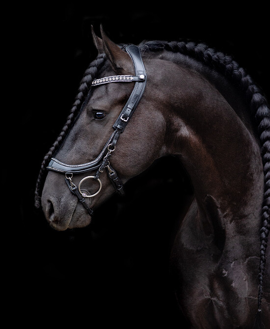 FaySport Glitter Bridle
